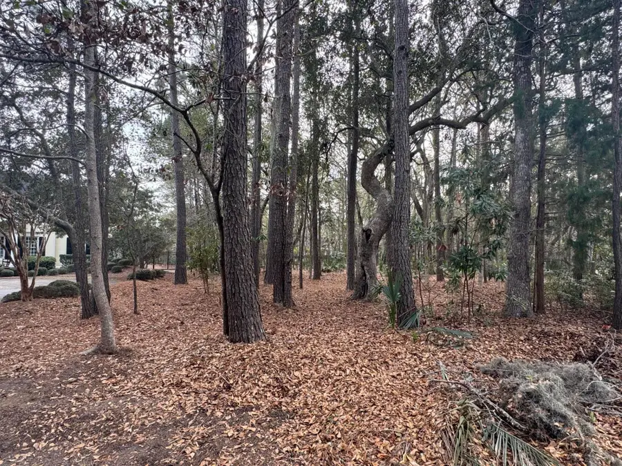 Lot 39 Jutland Ln., Georgetown, SC 29440 - #2