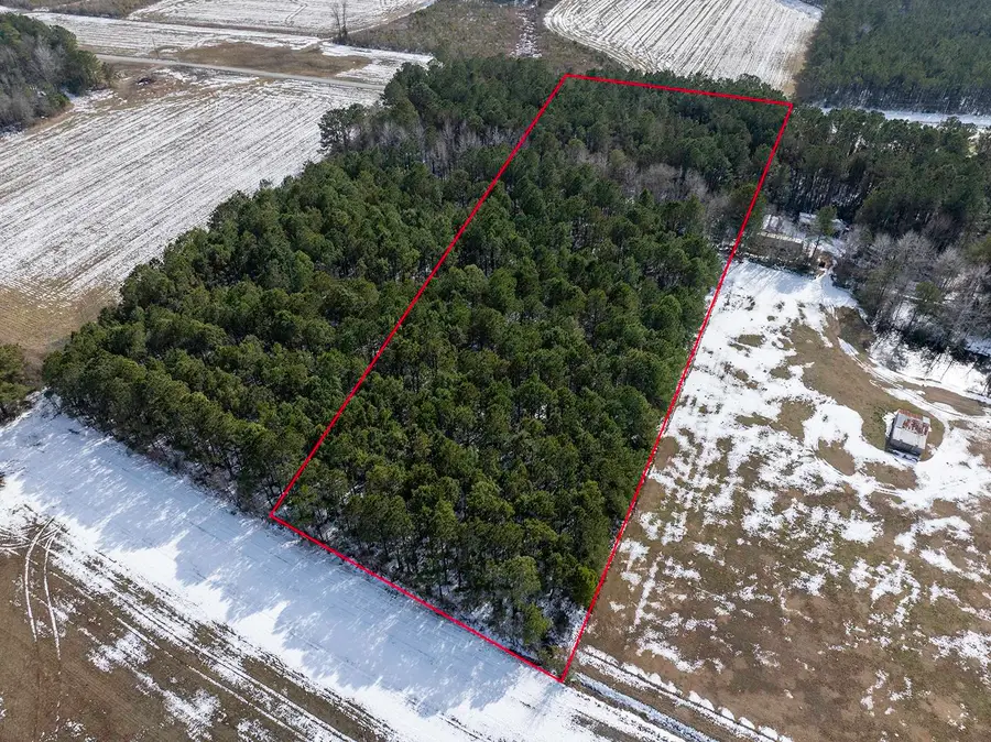 TBD Carroll Todd Rd., Conway, SC 29526 - Image #3