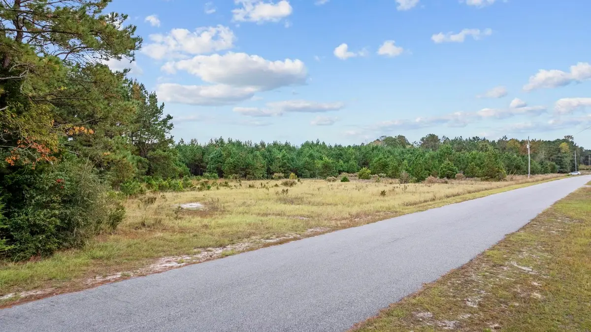 LOT 9 Creek Landing Rd, Nichols, SC 29581 - #1