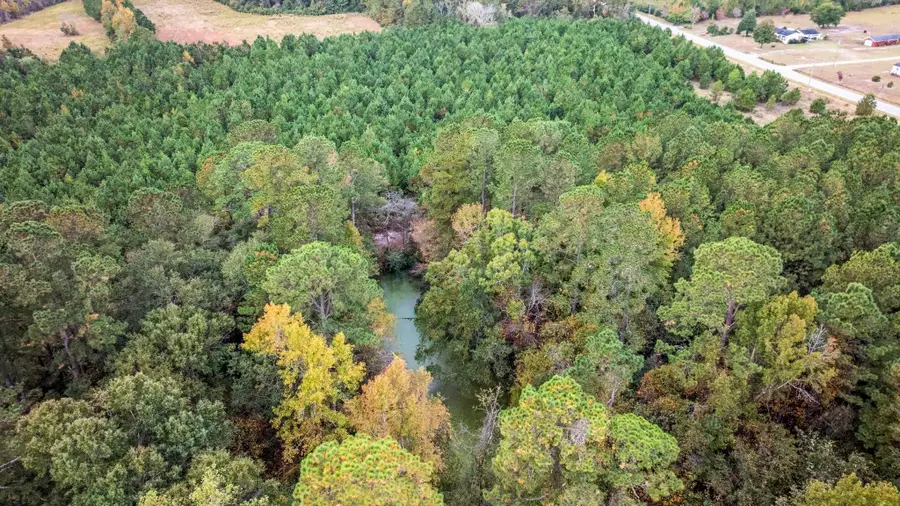 LOT 9 Creek Landing Rd, Nichols, SC 29581 - #3