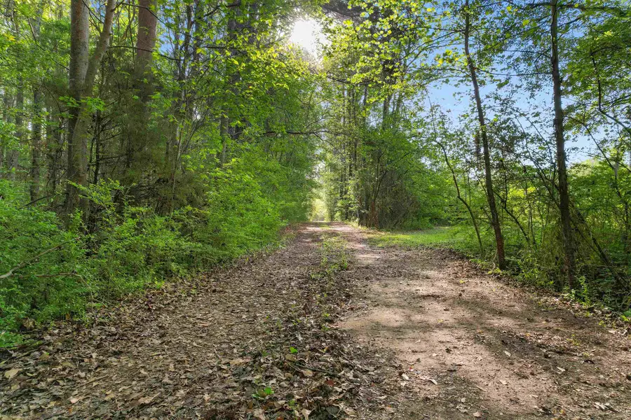 3534 Nichols Hwy., Galivants Ferry, SC 29544 - #2