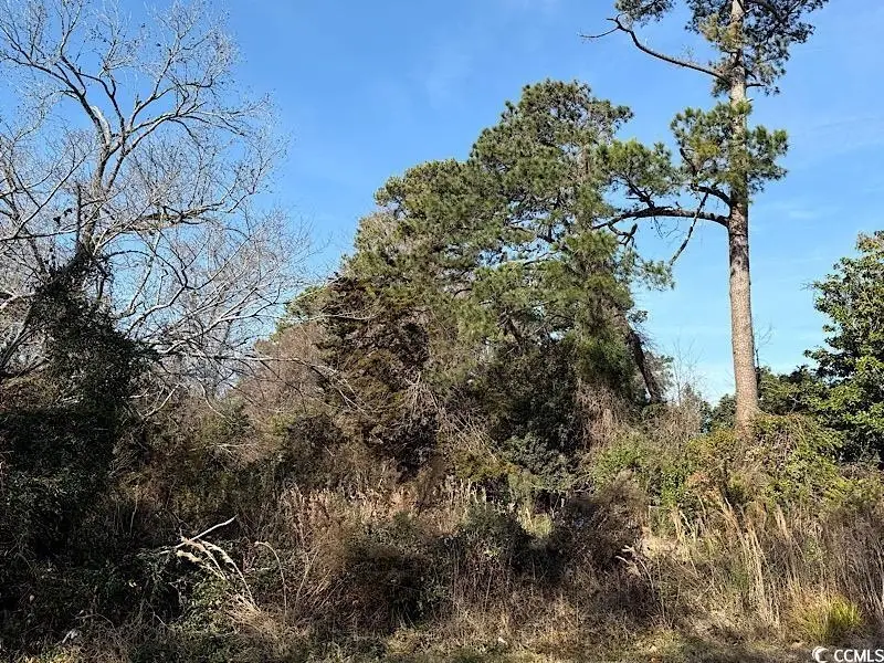 1005 3rd Ave. N, Myrtle Beach, SC 29577 - Image #3