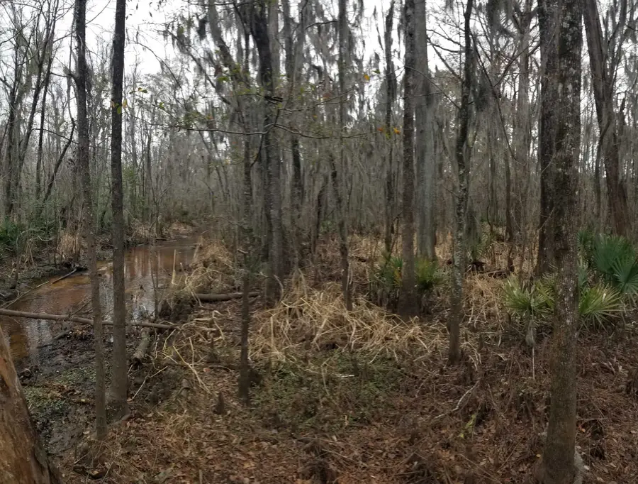 3120 Highmarket St., Georgetown, SC 29440 - #3