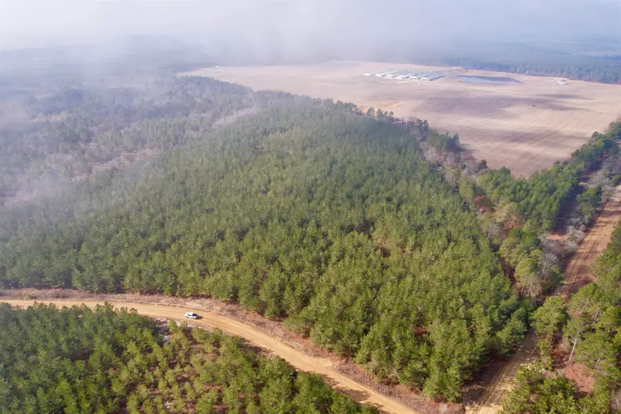 25.93Acres-4567 Dunham Rd, Bethune, SC 29009 - #3