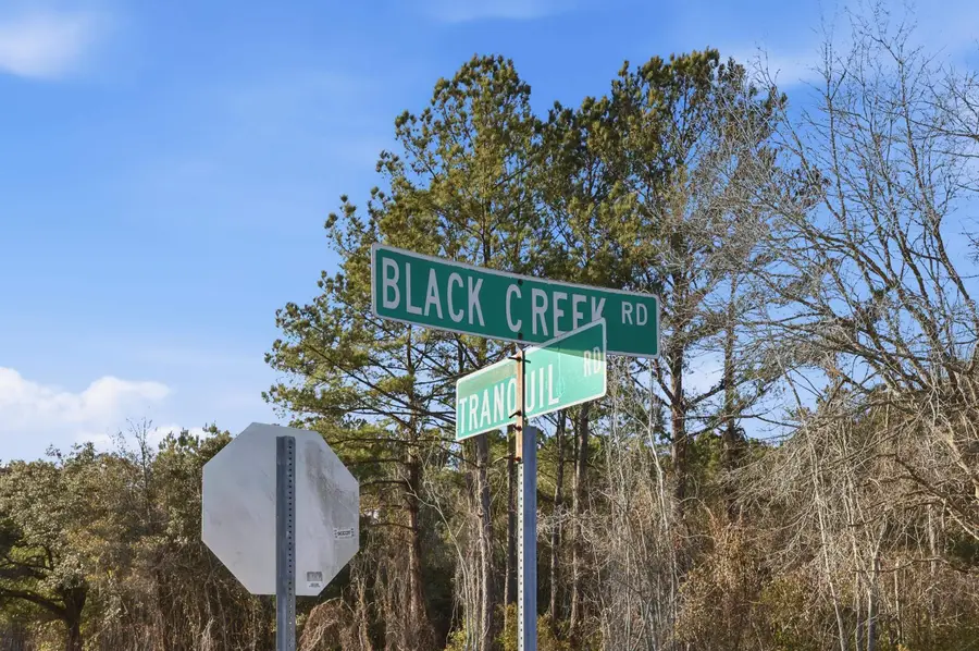 TBD Black Creek Rd., Nichols, SC 29581 - #2