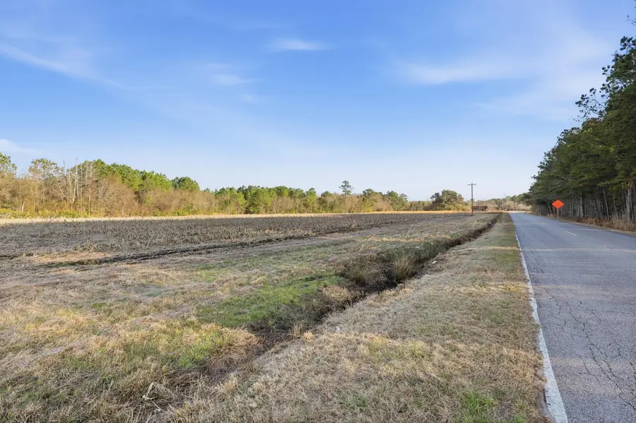 TBD Black Creek Rd., Nichols, SC 29581 - #3