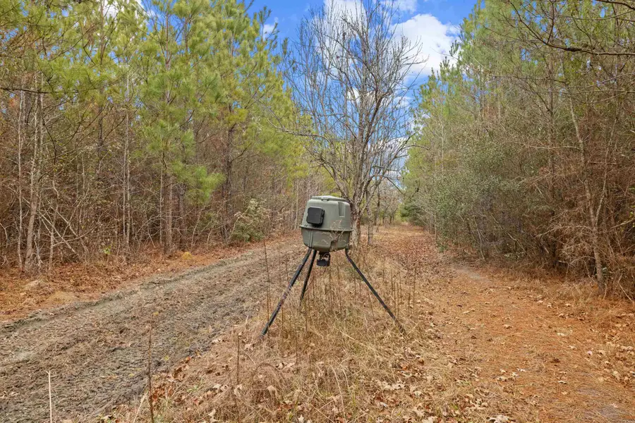 TBD 183 Acres Blakely Rd., Salters, SC 29590 - #3