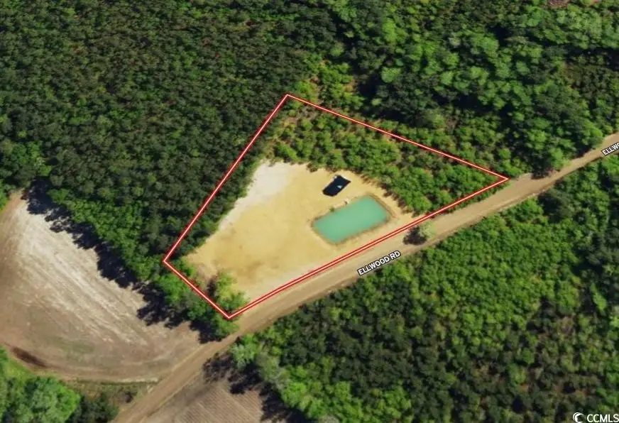 6221 Ellwood Rd., Galivants Ferry, SC 29544 - #1