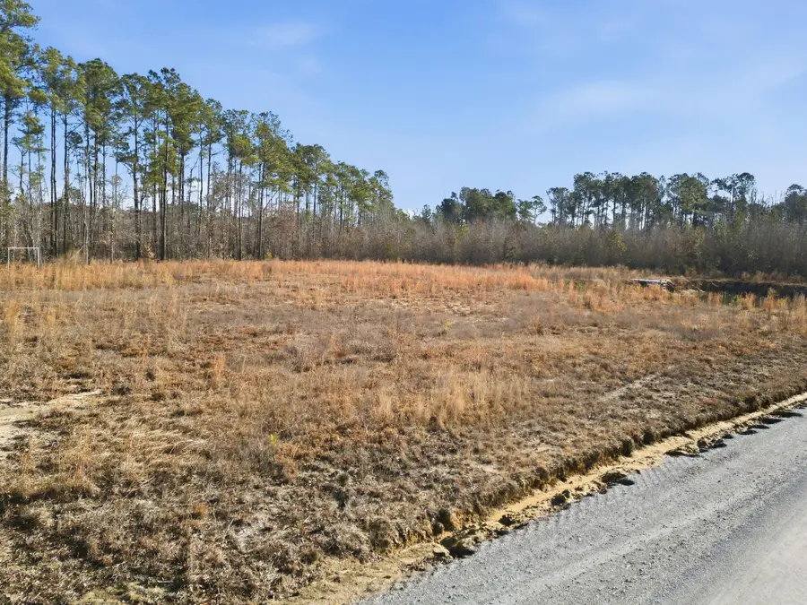 6221 Ellwood Rd., Galivants Ferry, SC 29544 - #2