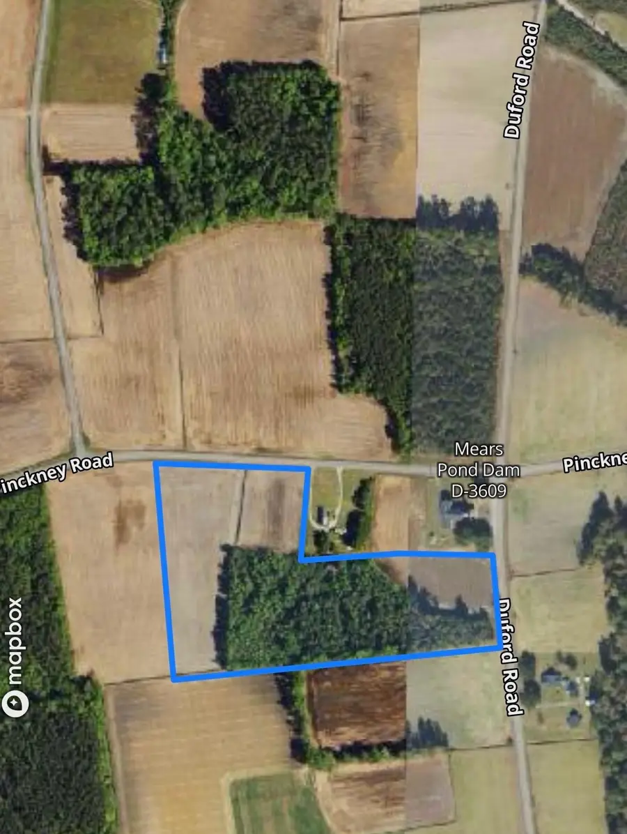 TBD Duford Rd., Nichols, SC 29581 - #2