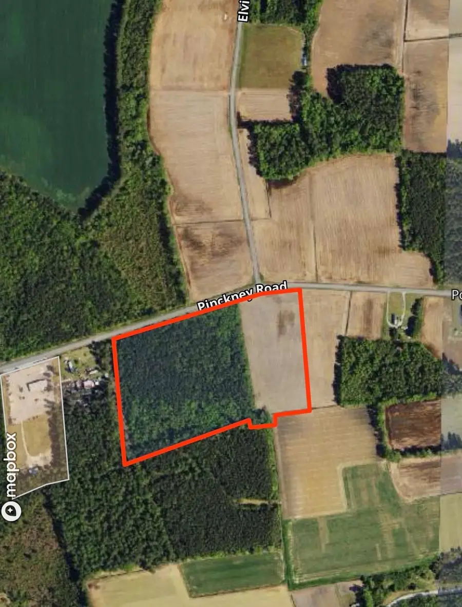 tbd Pinckney Rd., Nichols, SC 29581 - #2