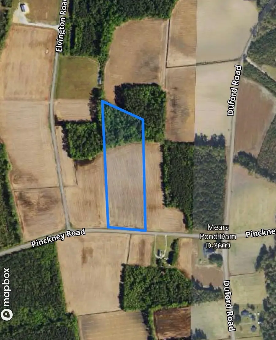tbd Pinckney Rd., Nichols, SC 29581 - #2