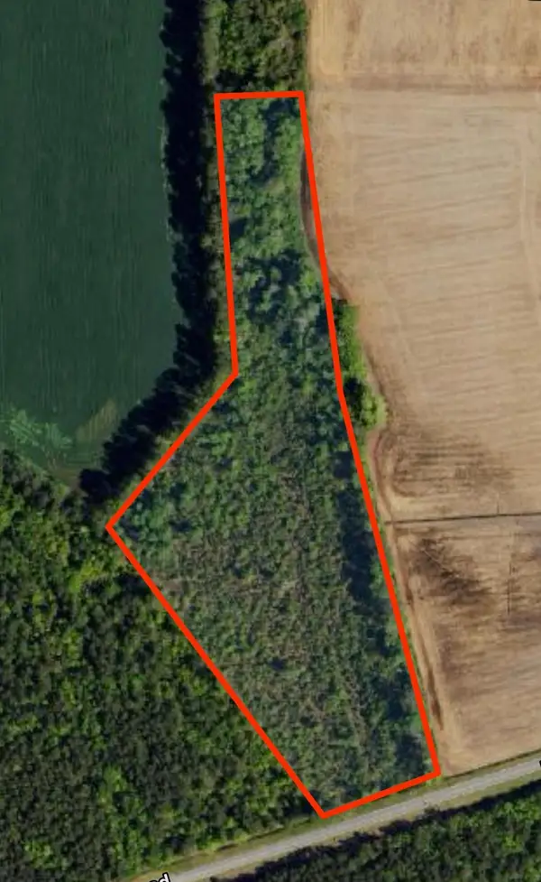 tbd Pinckney Rd., Nichols, SC 29581