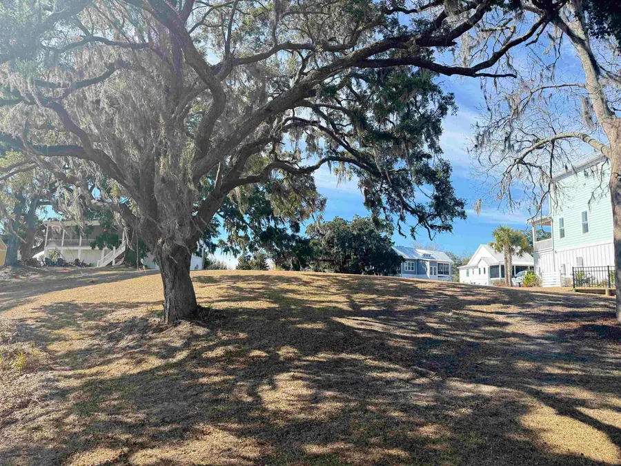 Lot 68 and 69 Milton Circle, Georgetown, SC 29440 - #3