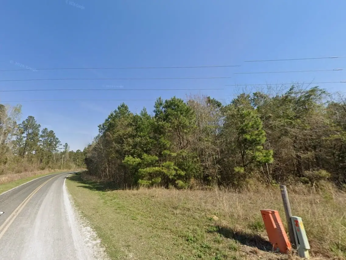 TBD Old Wilson Rd., Longs, SC 29568 - #1