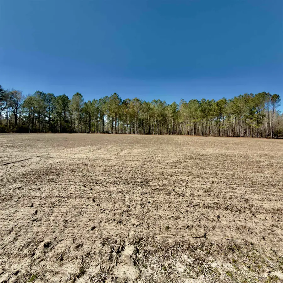 2249 Joann Branch Rd., Lake View, SC 29563 - #3