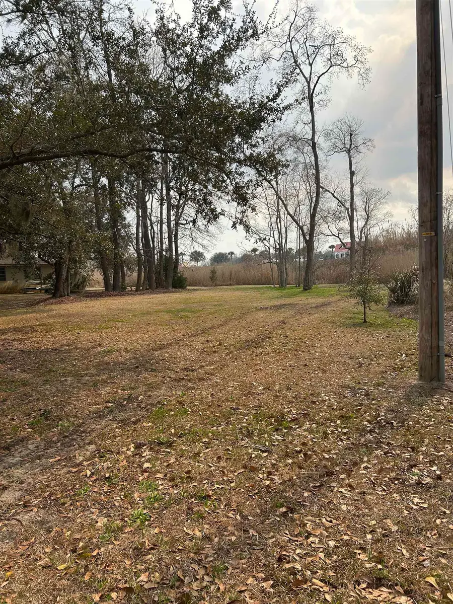 325 Kauffman St., Georgetown, SC 29440 - #3