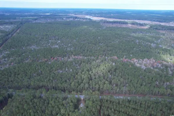 Tract D - TBD Pennyroyal Rd., Georgetown, SC 29440