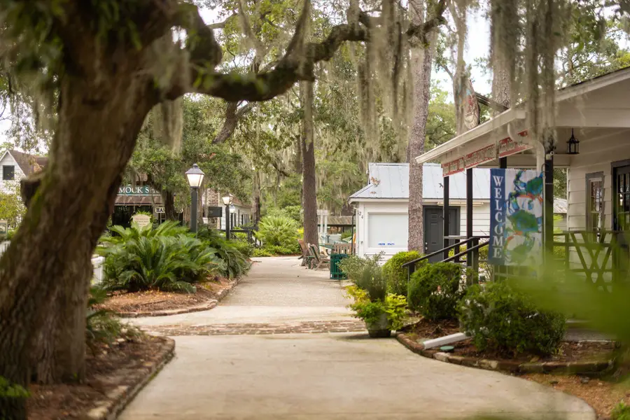 83 Condor Ct, Pawleys Island, SC 29585 - #3