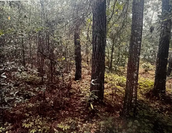 4563 South Island Rd., Georgetown, SC 29440