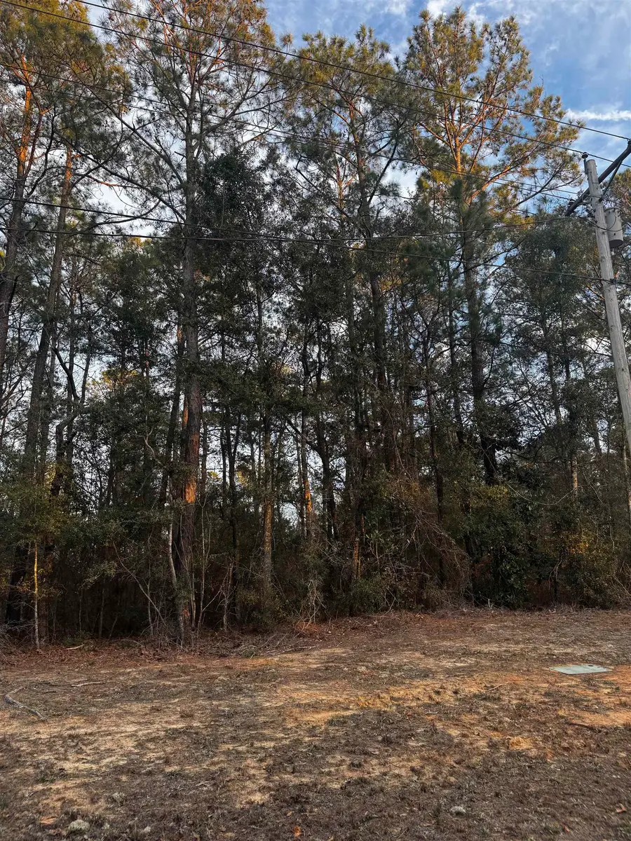 4563 South Island Rd., Georgetown, SC 29440 - #2