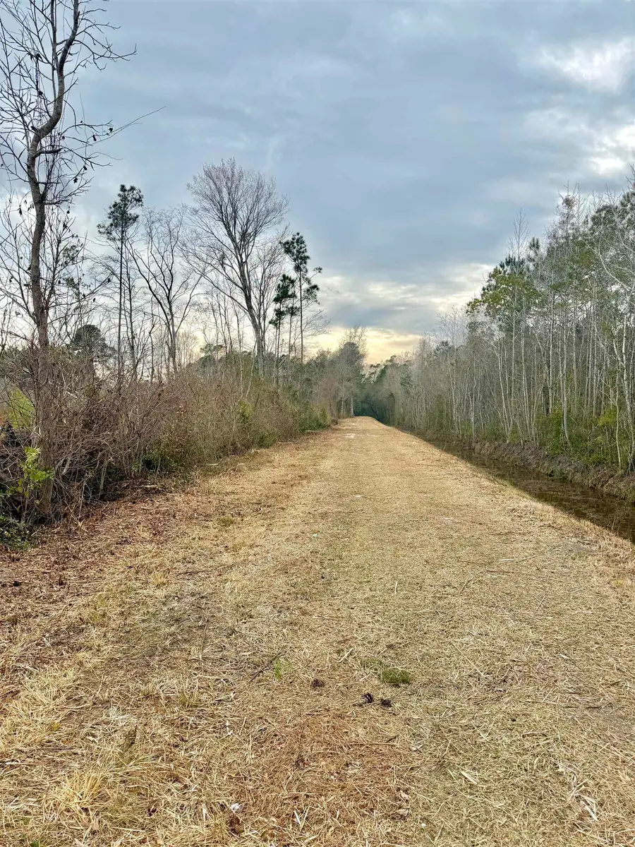 TBD Pint Circle, Longs, SC 29568 - #3