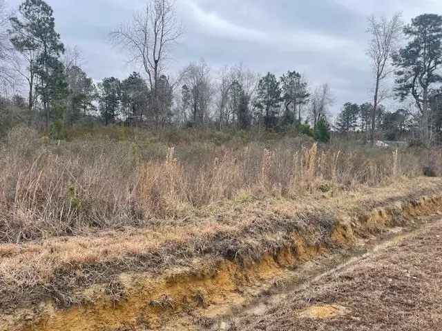 3137 Deer Creek Dr., Loris, SC 29569 - #1