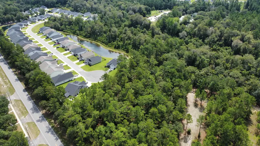 TBD Highway 905, Conway, SC 29526 - #3