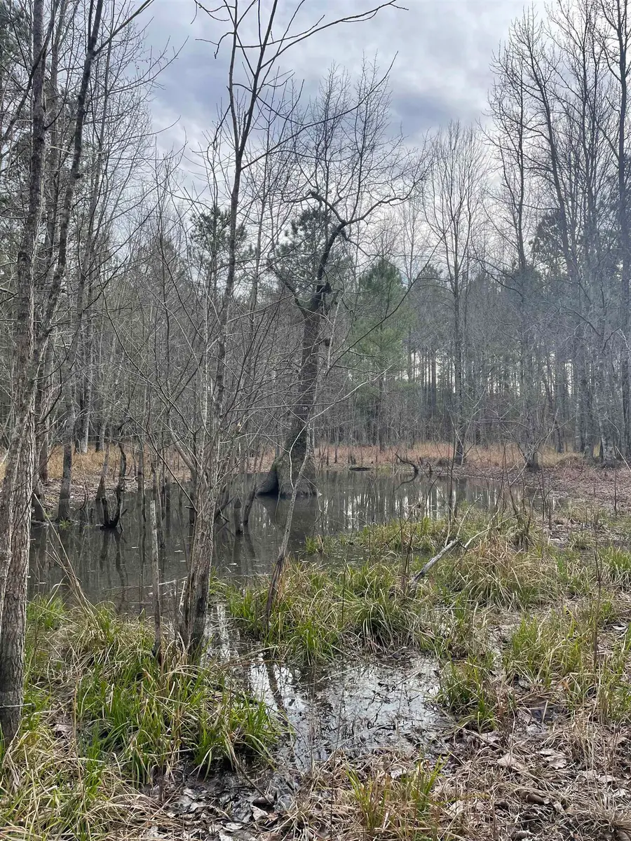 TBD Rocky Ford Rd., Salters, SC 29590 - #3