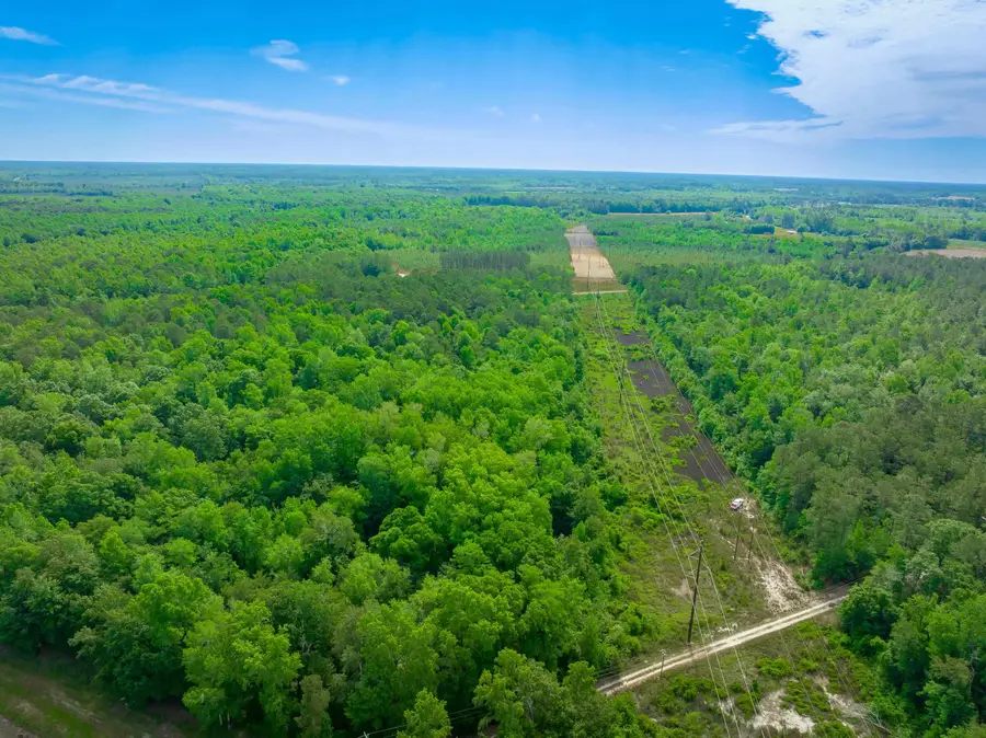 0 Sand Plant Rd., Nichols, SC 29581 - #3