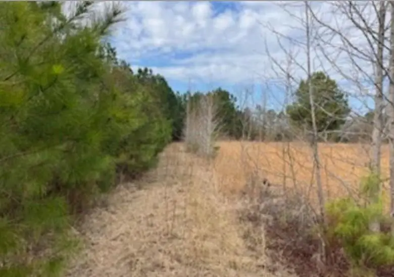 791 Moulds Rd., Lake City, SC 29560 - #3