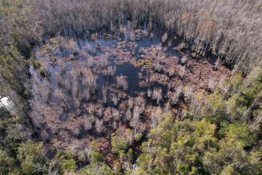 TBD I M Graham Rd., Kingstree, SC 29556 - #2