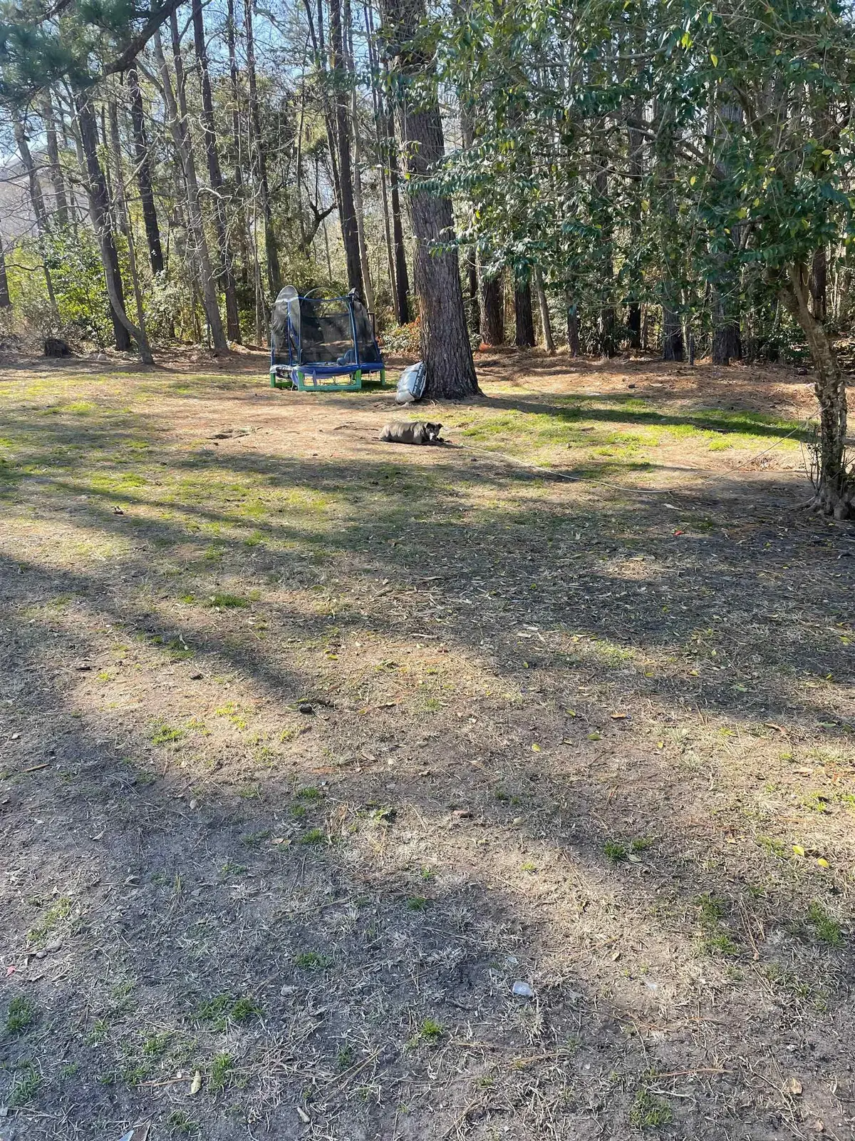 TBD Lomax Ct., Murrells Inlet, SC 29576 - #1