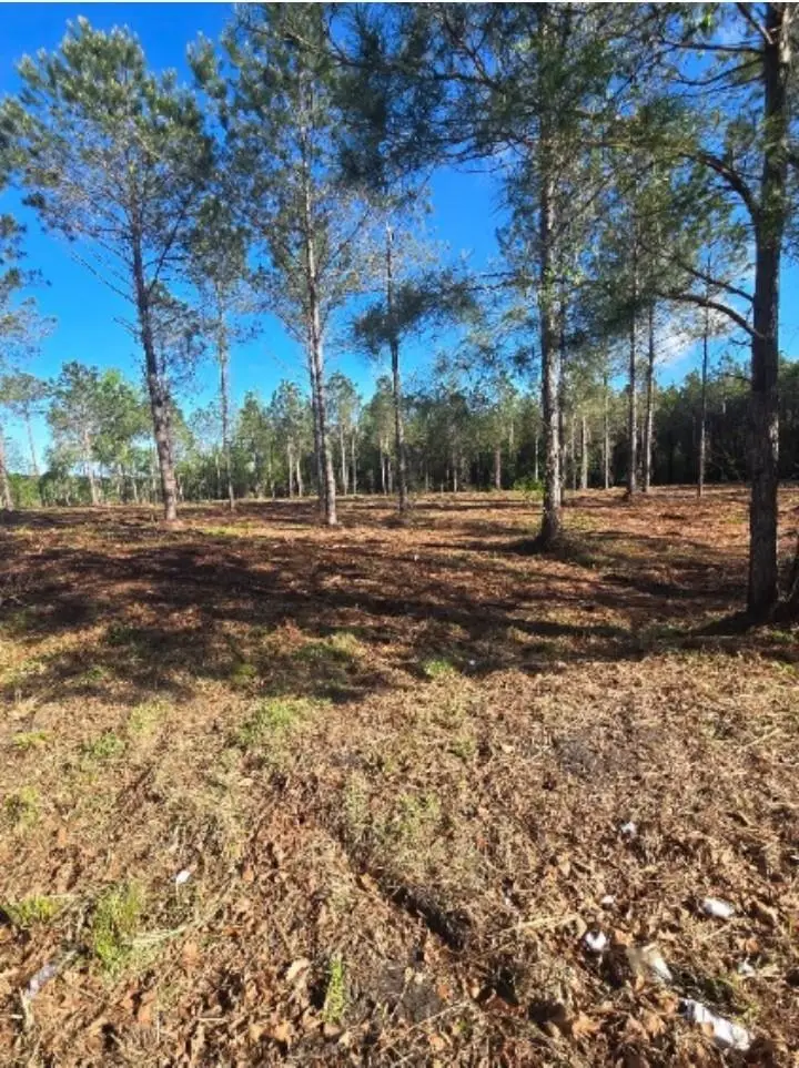 1513 Oakdale Rd., Loris, SC 29569 - #3