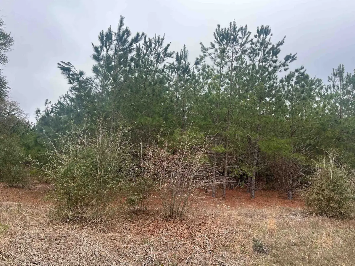 0 S Highway 38, Blenheim, SC 29516 - #1