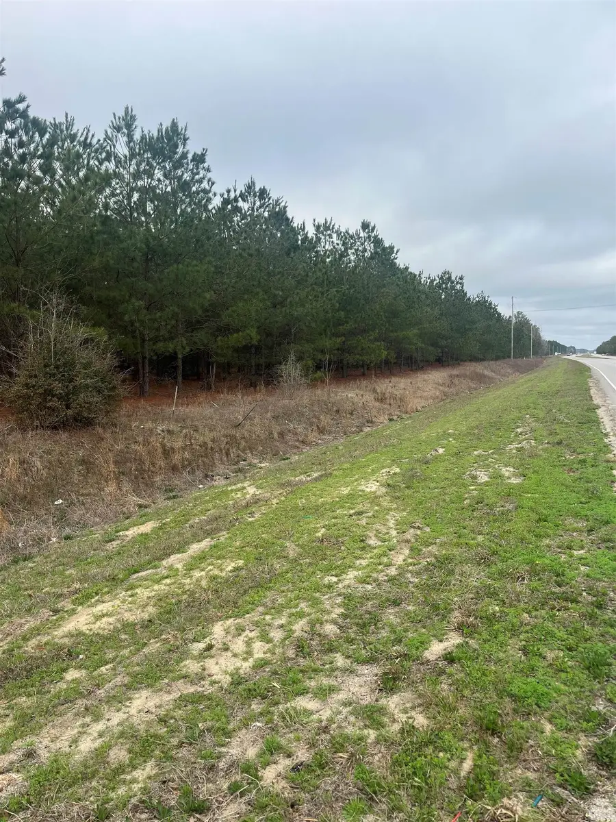 0 S Highway 38, Blenheim, SC 29516 - #2