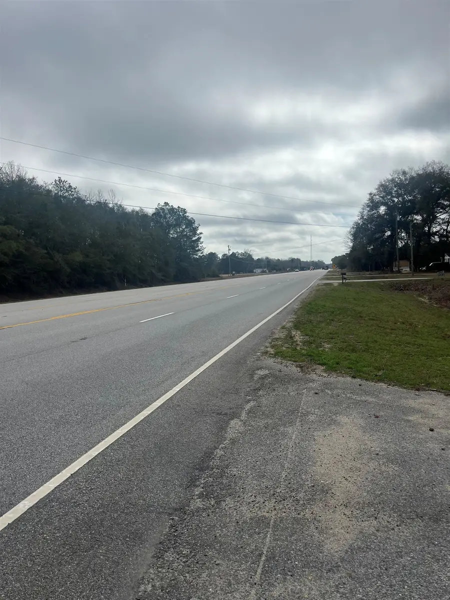 0 S Highway 38, Blenheim, SC 29516 - #3