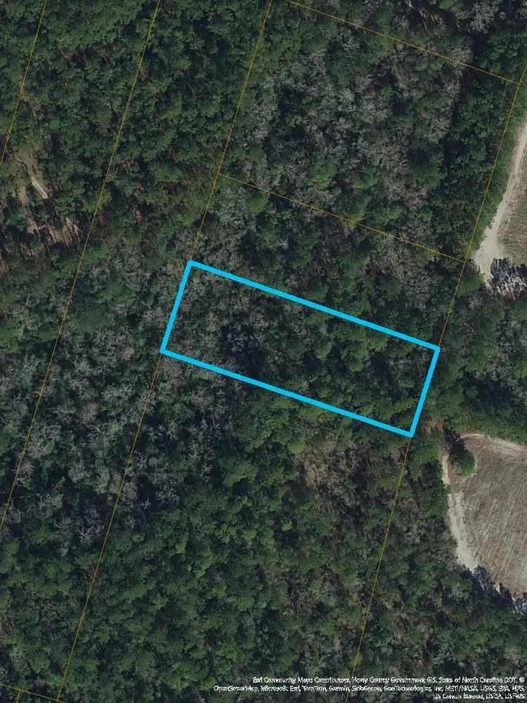 S Mill Swamp Rd., Longs, SC 29568 - #1