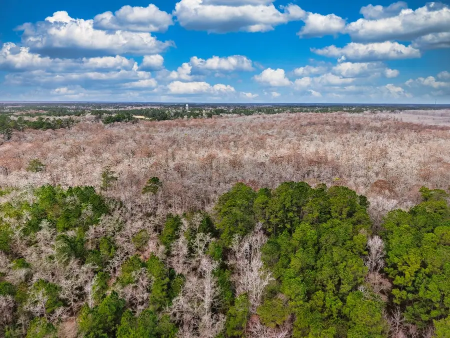 TBD Mishoe Rd., Conway, SC 29527 - #3