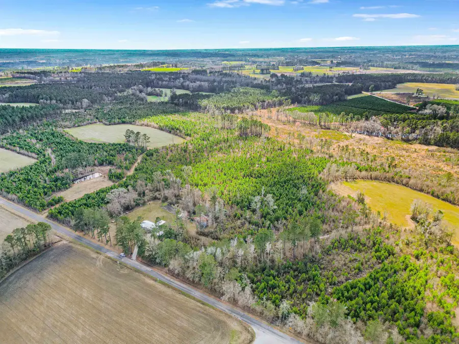 TBD Muddy Creek Rd., Johnsonville, SC 29555 - #2