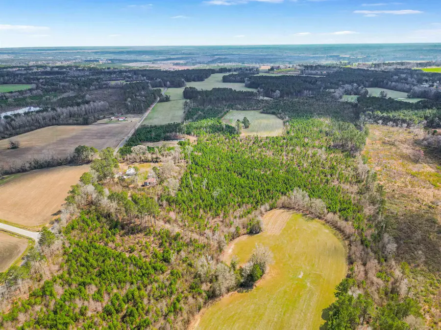 TBD Muddy Creek Rd., Johnsonville, SC 29555 - #3