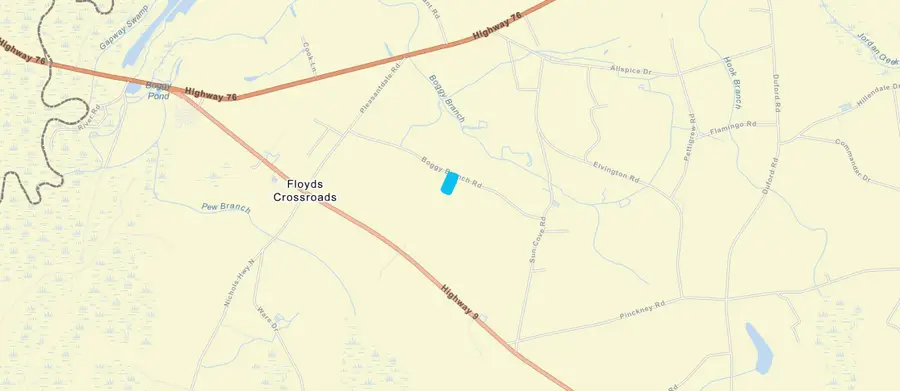 2.11 Acres Boggy Branch Rd., Nichols, SC 29581 - #3