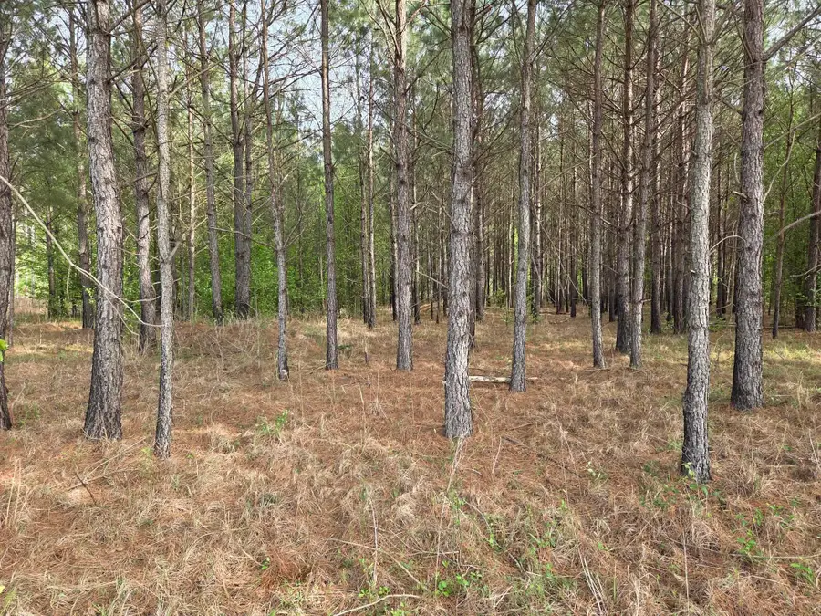 5328 County Line Rd., Andrews, SC 29510 - #3