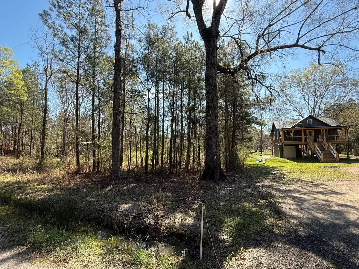 TBD Locust Tree Ct., Gresham, SC 29546 - #1