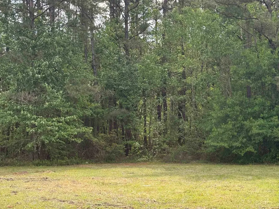 8743 Highway 707, Myrtle Beach, SC 29588 - #3