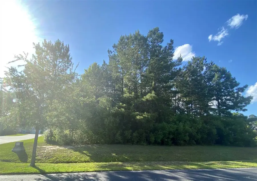 304 Capers Creek Dr., Myrtle Beach, SC 29579 - #3