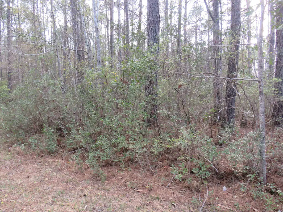 T.B.D. Finnell Rd., Little River, SC 29566 - #1