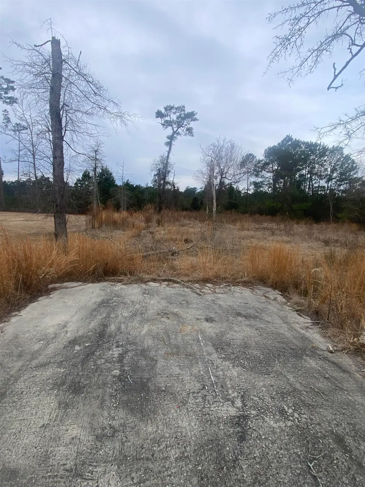 472 Sellers Rd., Conway, SC 29526 - #1