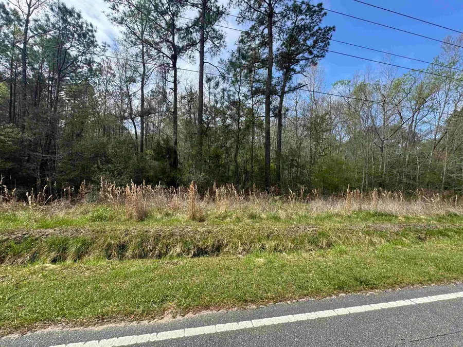 2647 Allen Dew Rd., Conway, SC 29527 - #2