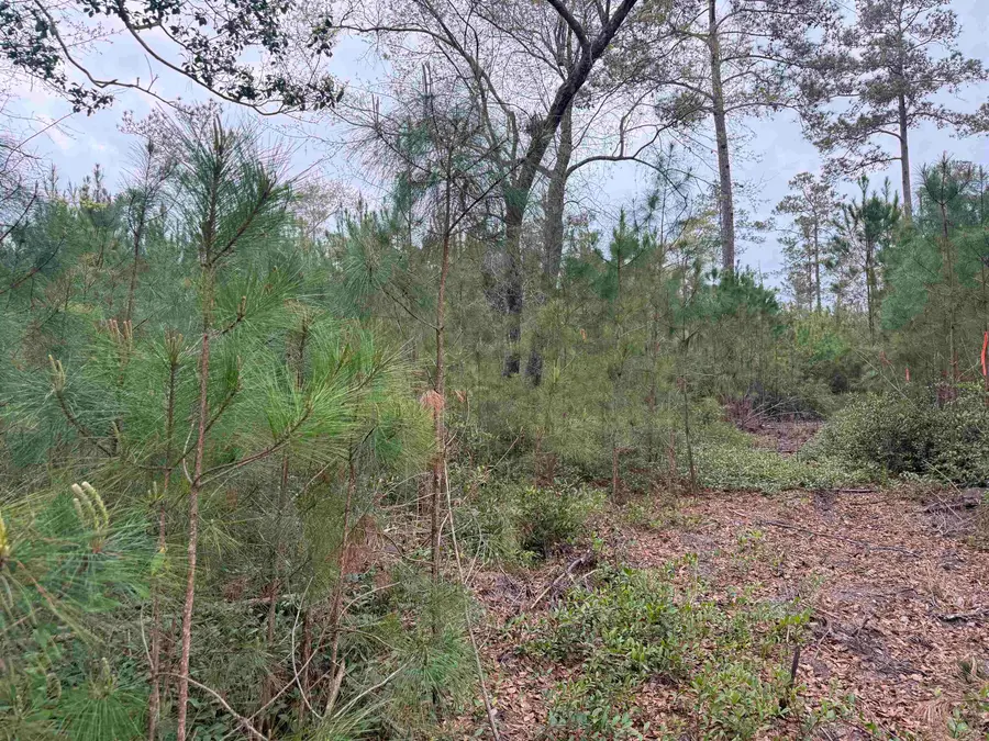 4999 Huckleberry Ln., Conway, SC 29527 - #2